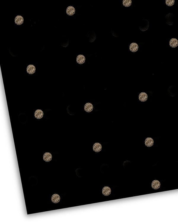 Embroidered Lawn Black EMF-S25-0160