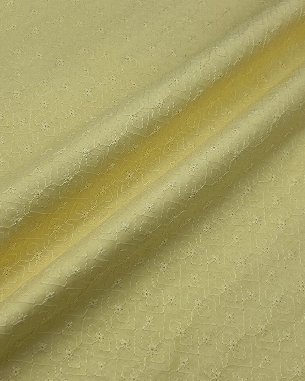 Chikankari Lemon CK-S25-0005