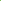 Rib Lawn Mint RLS-S24-0005